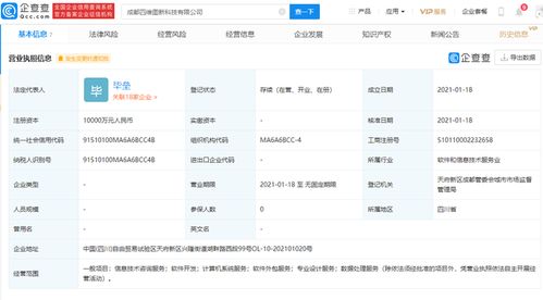 軟件外包服務 全球化時代的智能解決方案